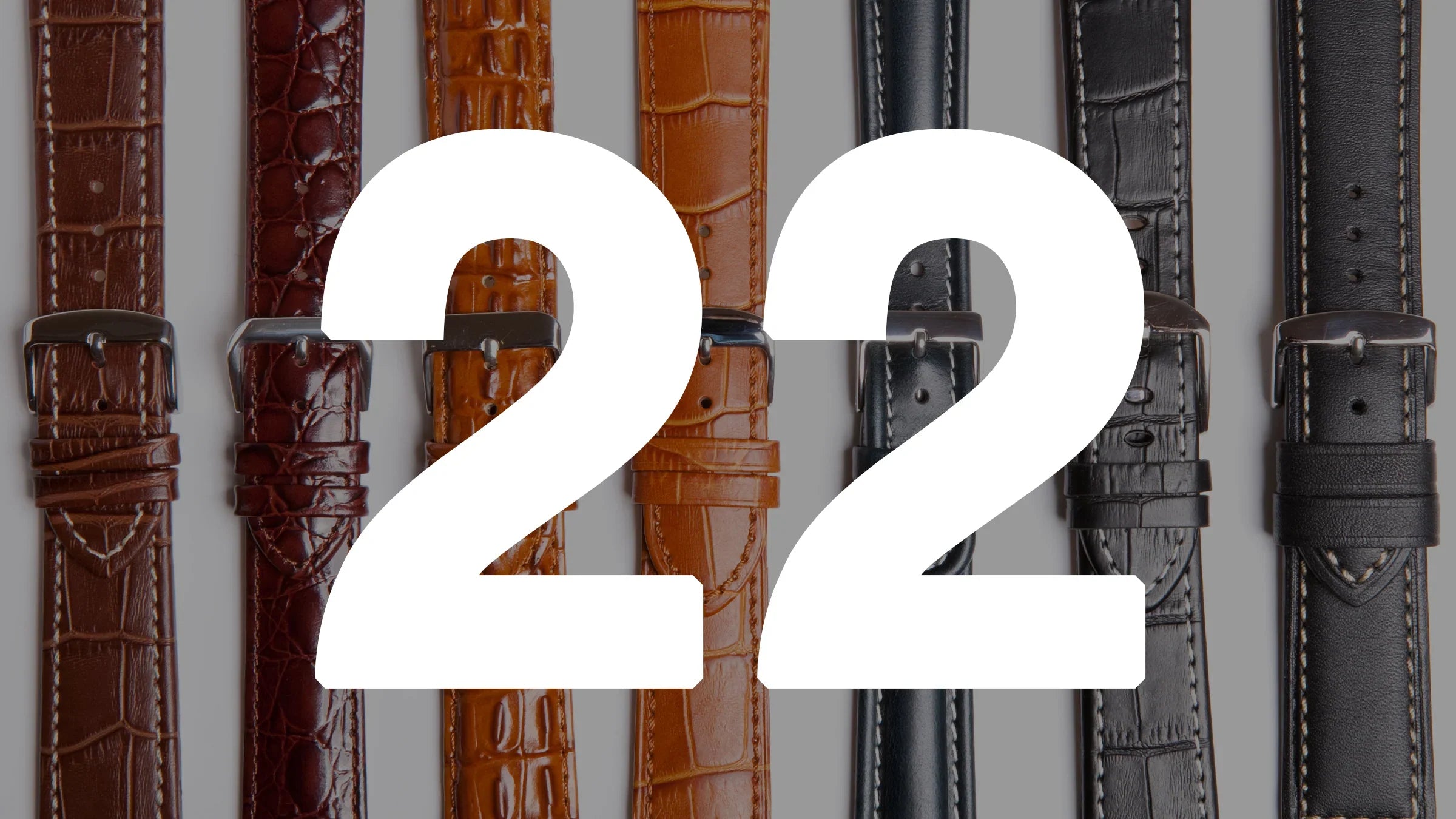 22mm Smart Watch Straps