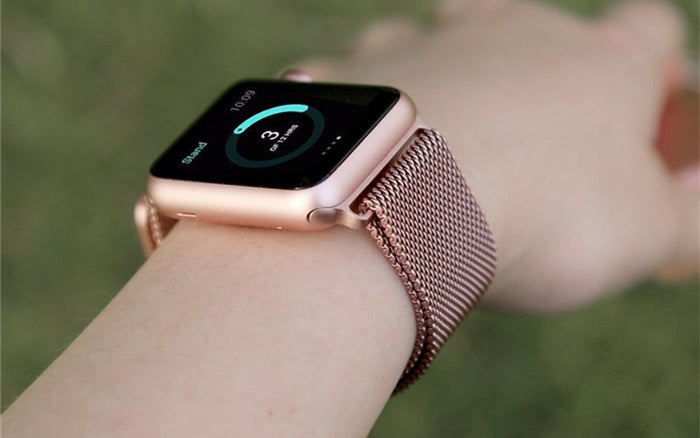 Apple Watch Milanese Stainless Band