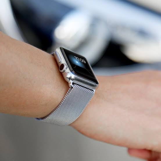 Apple Watch Milanese Stainless Band