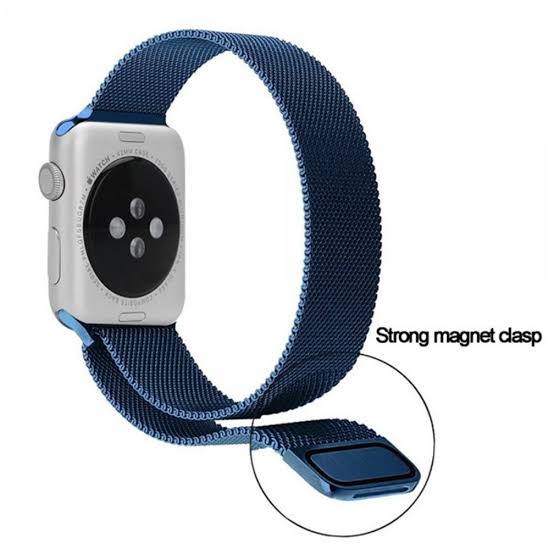Apple Watch Milanese Stainless Band
