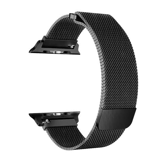 Apple Watch Milanese Stainless Band