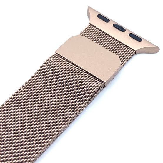 Apple Watch Milanese Stainless Band
